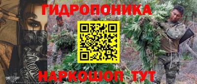 2c-b Будённовск