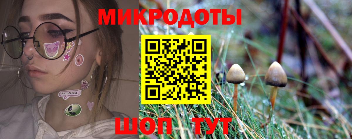 Галлюциногенные грибы Psilocybine cubensis Усолье-Сибирское
