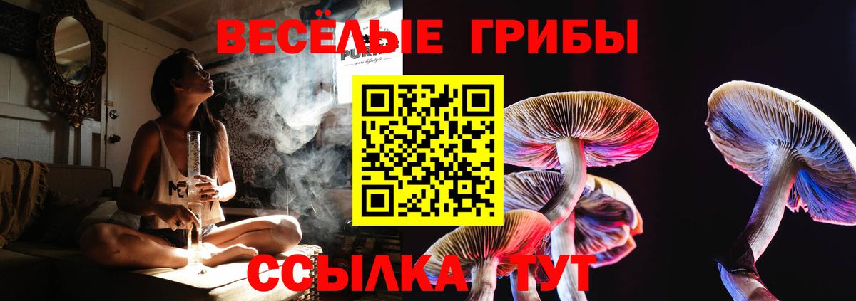 Усолье-Сибирское  Галлюциногенные грибы GOLDEN TEACHER  наркота  Вход с VPN 